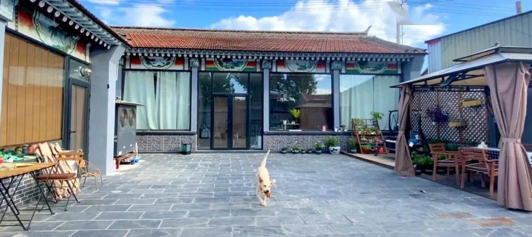 从"小鱼儿夫妇"历时十个月翻新自宅小院到"十万个阿拉蕾"的装修日记